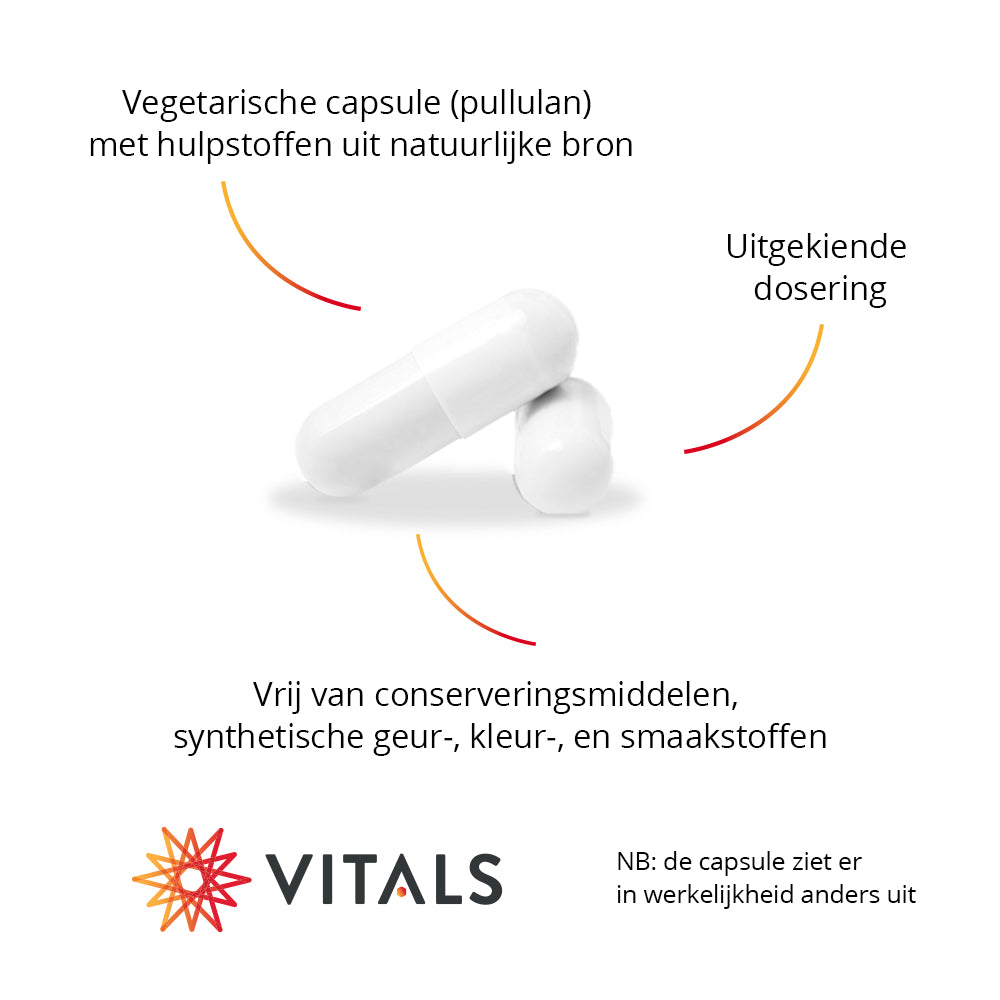 IJzer 25 mg – IJzerbisglycinaat Ferrochel® met Vitamine C – 100 V-Caps