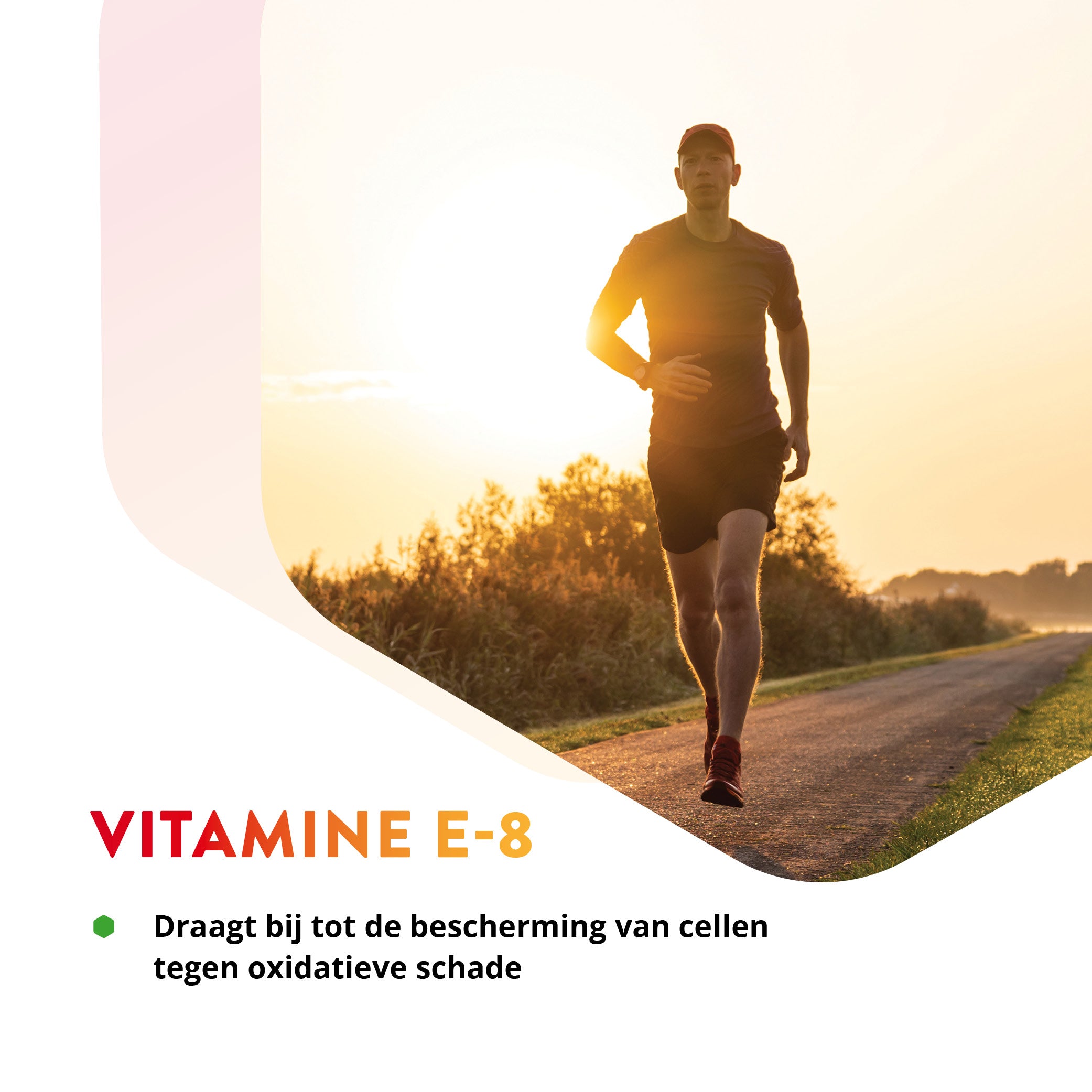 Vitamin E-8 – Tocopherols + Tocotrienols – 60 Caps