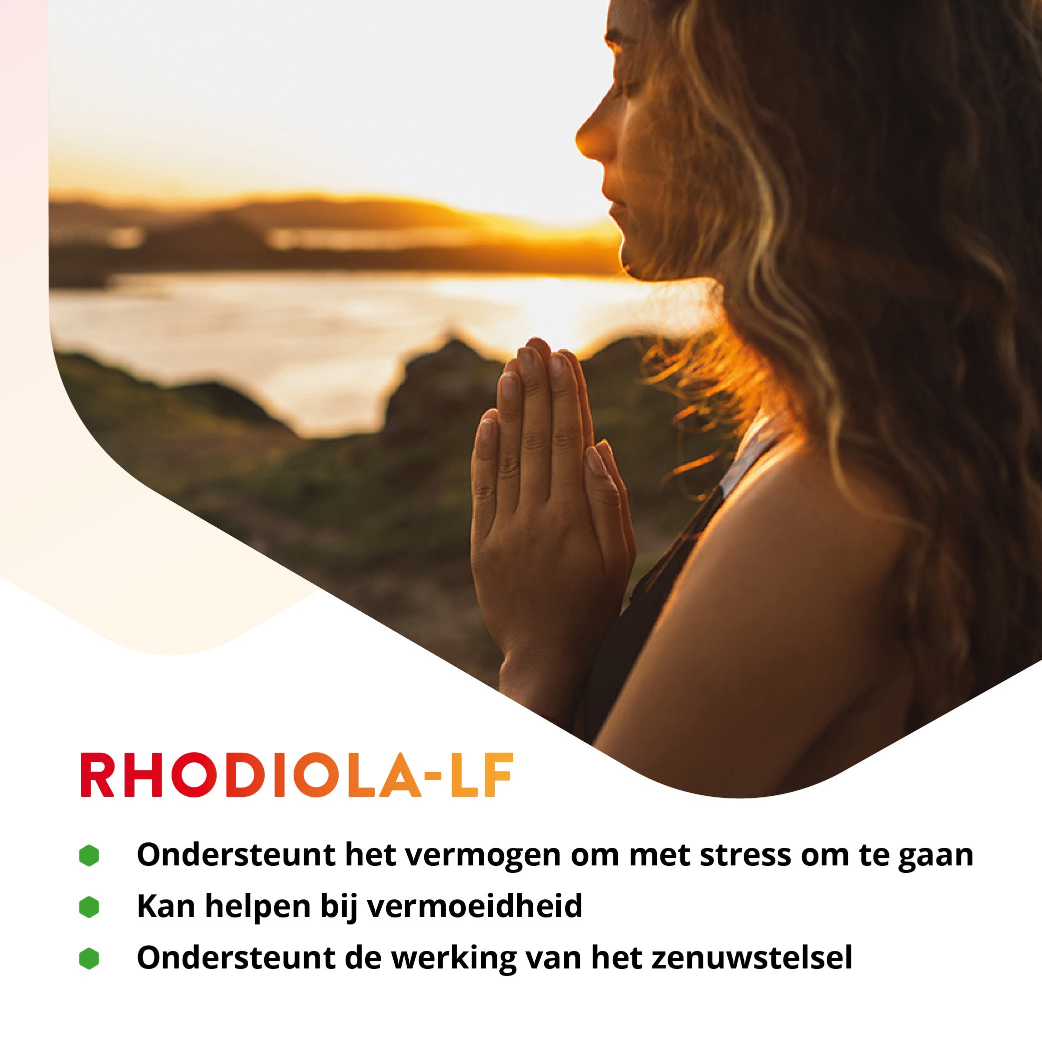 Rhodiola-LF – Rhodiolife® extract – 60 Vegan Caps