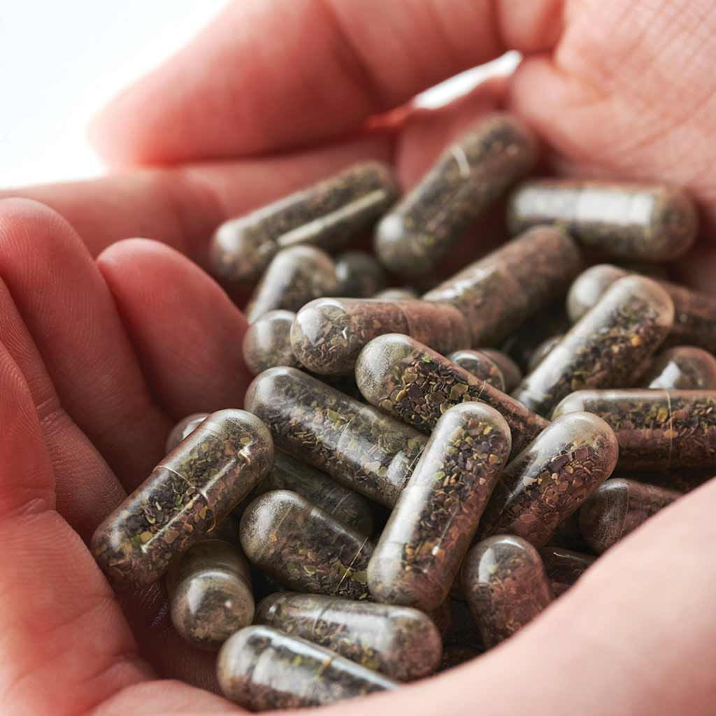 Kiki Health - Organic Irish Sea Moss - 90 vcaps