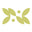 plenthera.myshopify.com